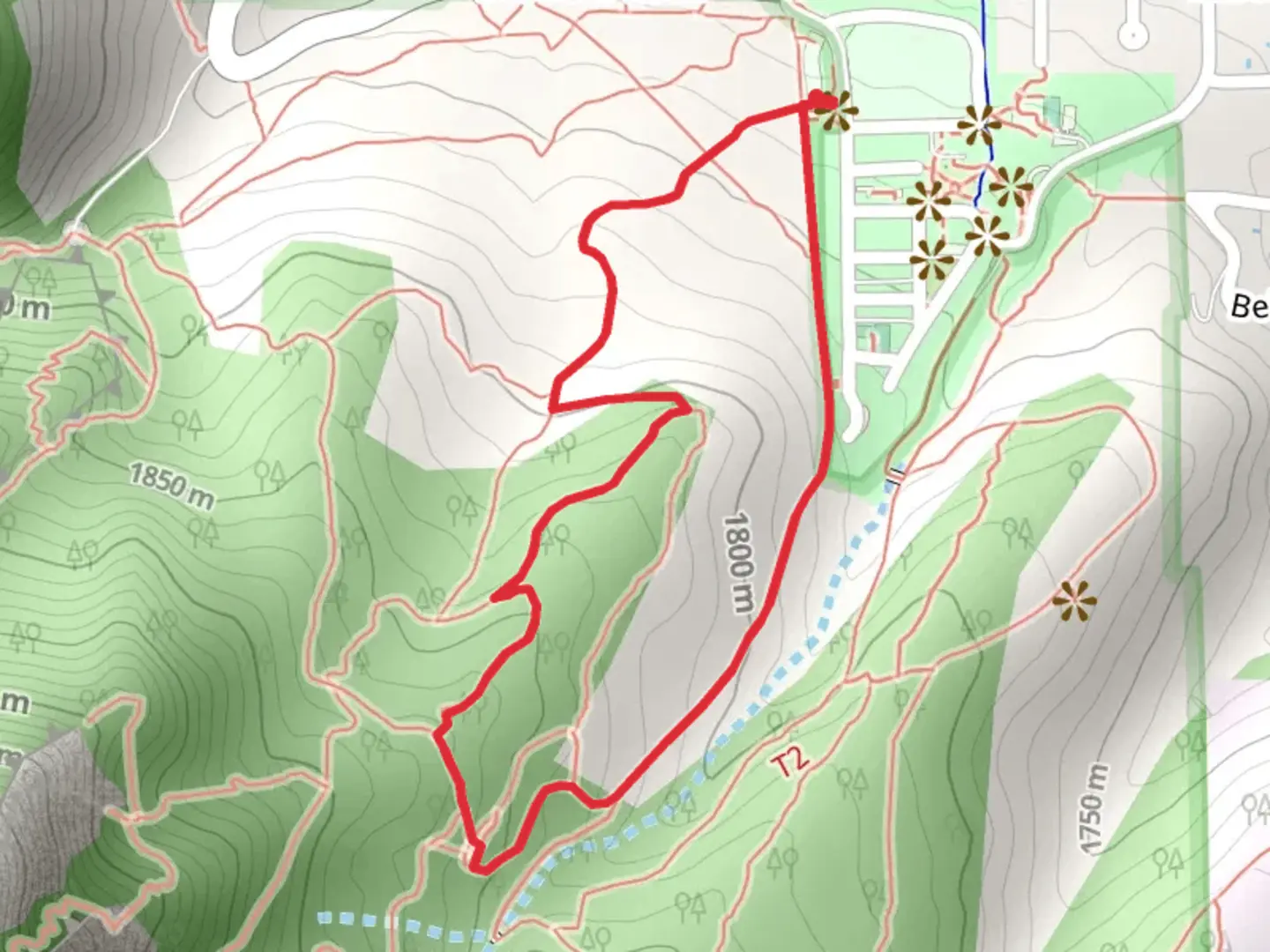 An image depicting the trail Bluebell Hiking and Mesa Loop Trail and its surrounding area.