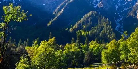 An image depicting the trail Sar Pass Trail and its surrounding area.