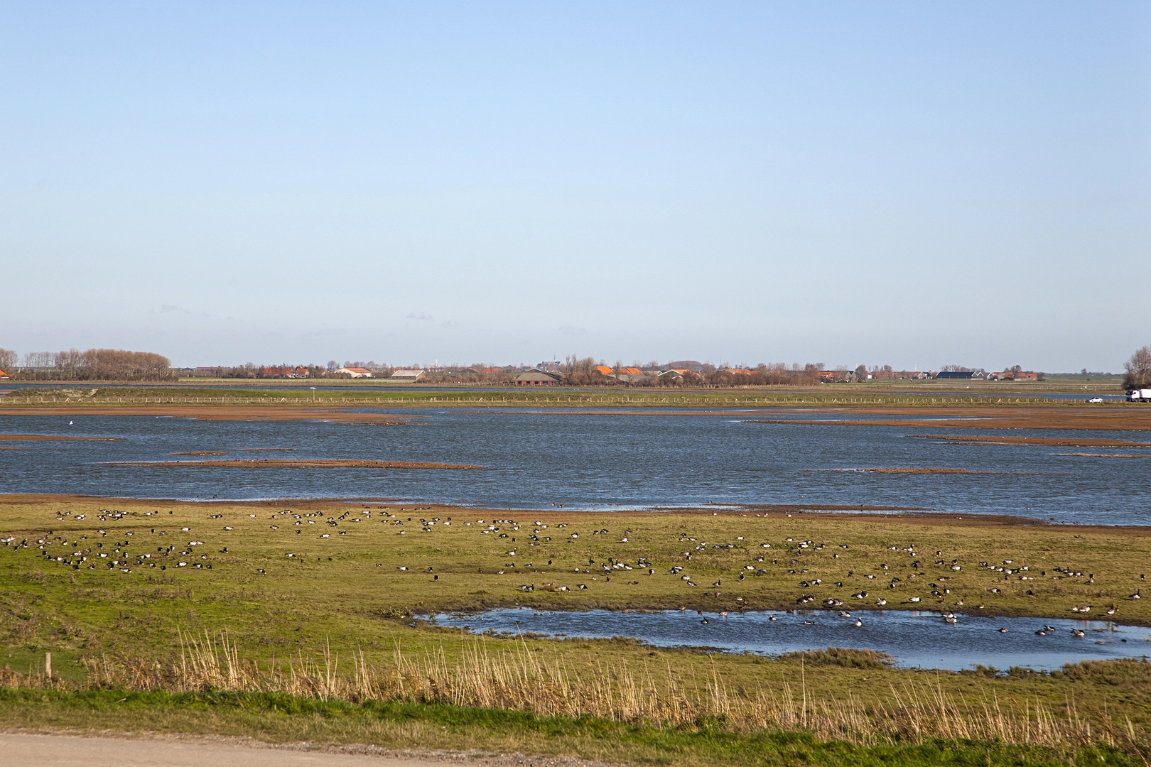 An image depicting the trail Sinoutskerkseweg, Postweg, Langeweg and Muidenweg Loop and its surrounding area.