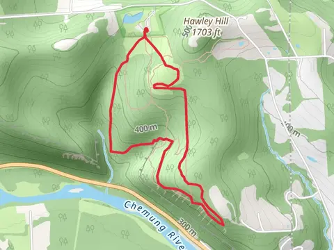 Allyn Hoffman Tree Trail Loop