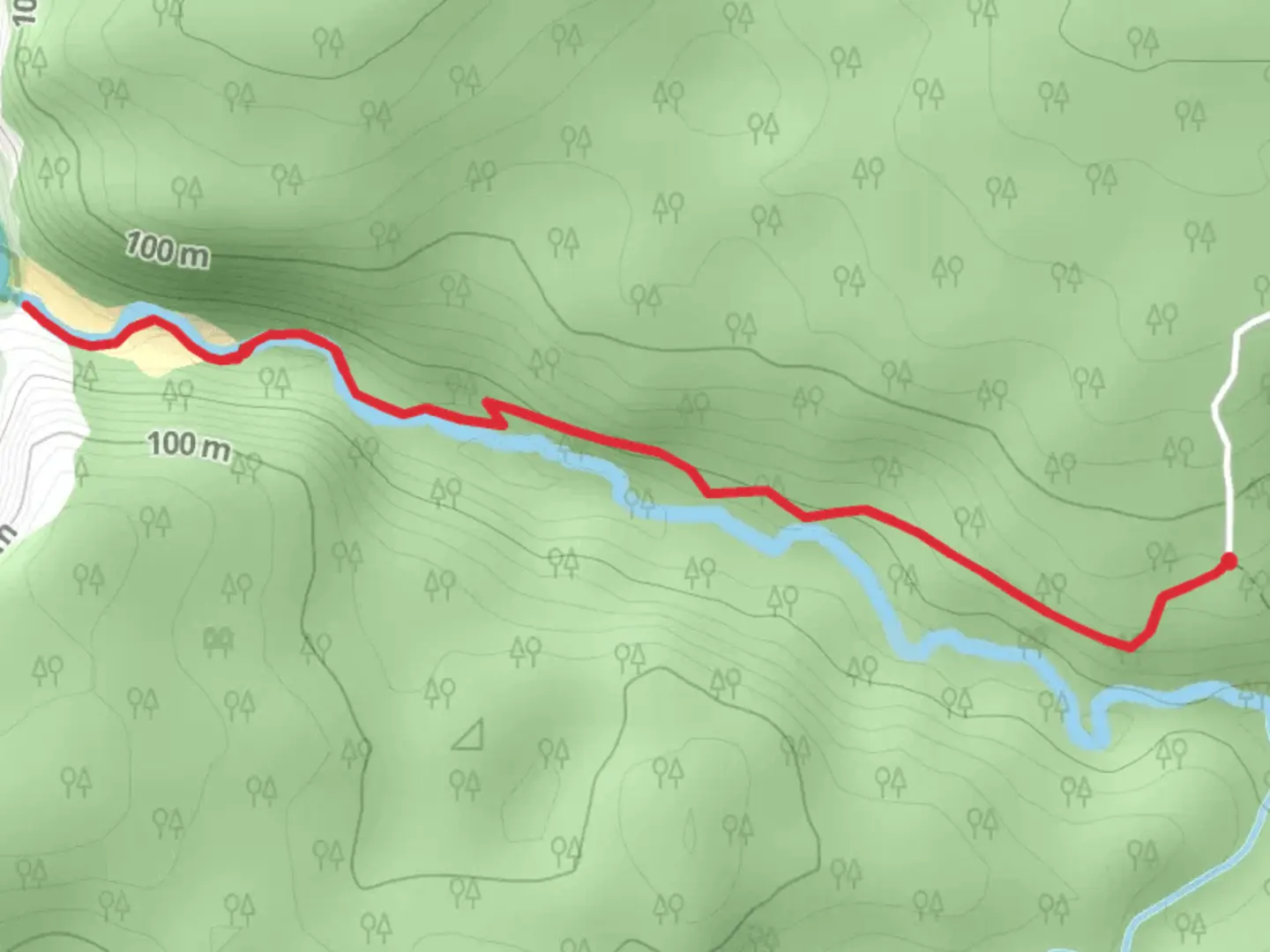 An image depicting the trail Ravine Walk and its surrounding area.