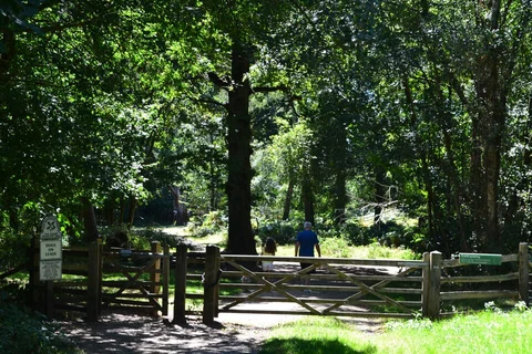 An image depicting the trail The Chase Nature Reserve Loop and its surrounding area.