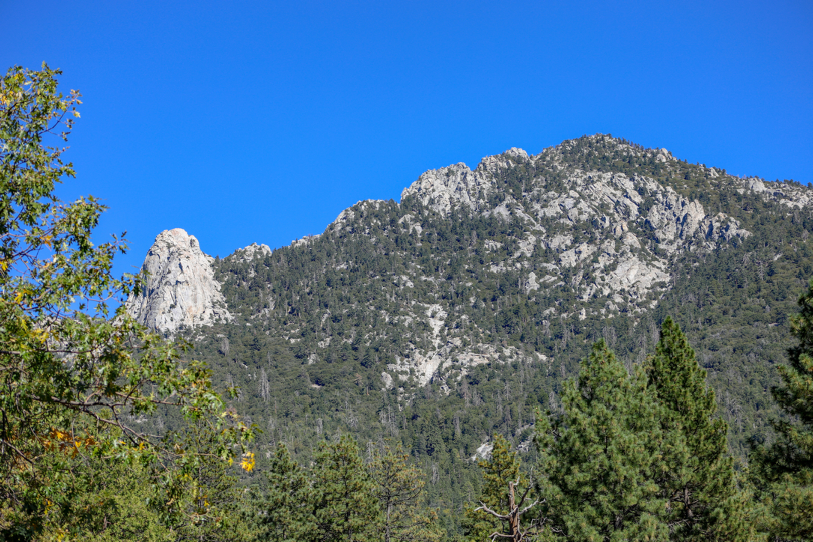 An image depicting the trail South Peak and Apache Peak via Pacific Crest Trail and its surrounding area.