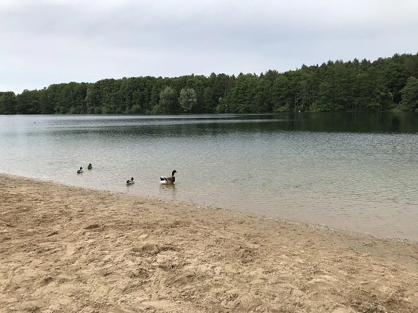 An image depicting the trail Kaarster See Loop and its surrounding area.