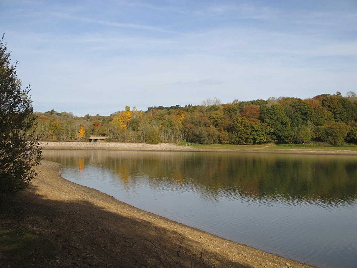 An image depicting the trail Ardingly Reservoir and Great Bentley Gorses Loop and its surrounding area.