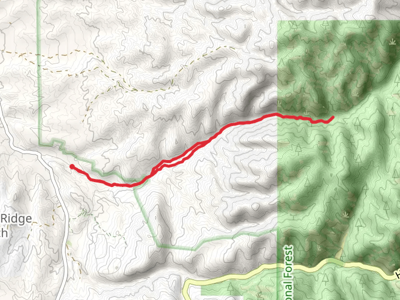 Tesuque Creek via Winsor Trail from Big Tesuque Canyon