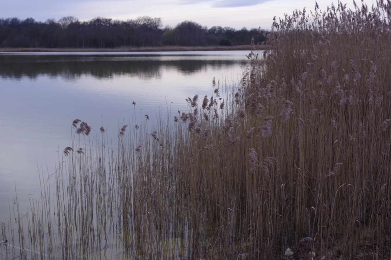 An image depicting the trail Neumann's Flash Loop via Marbury Country Park and its surrounding area.
