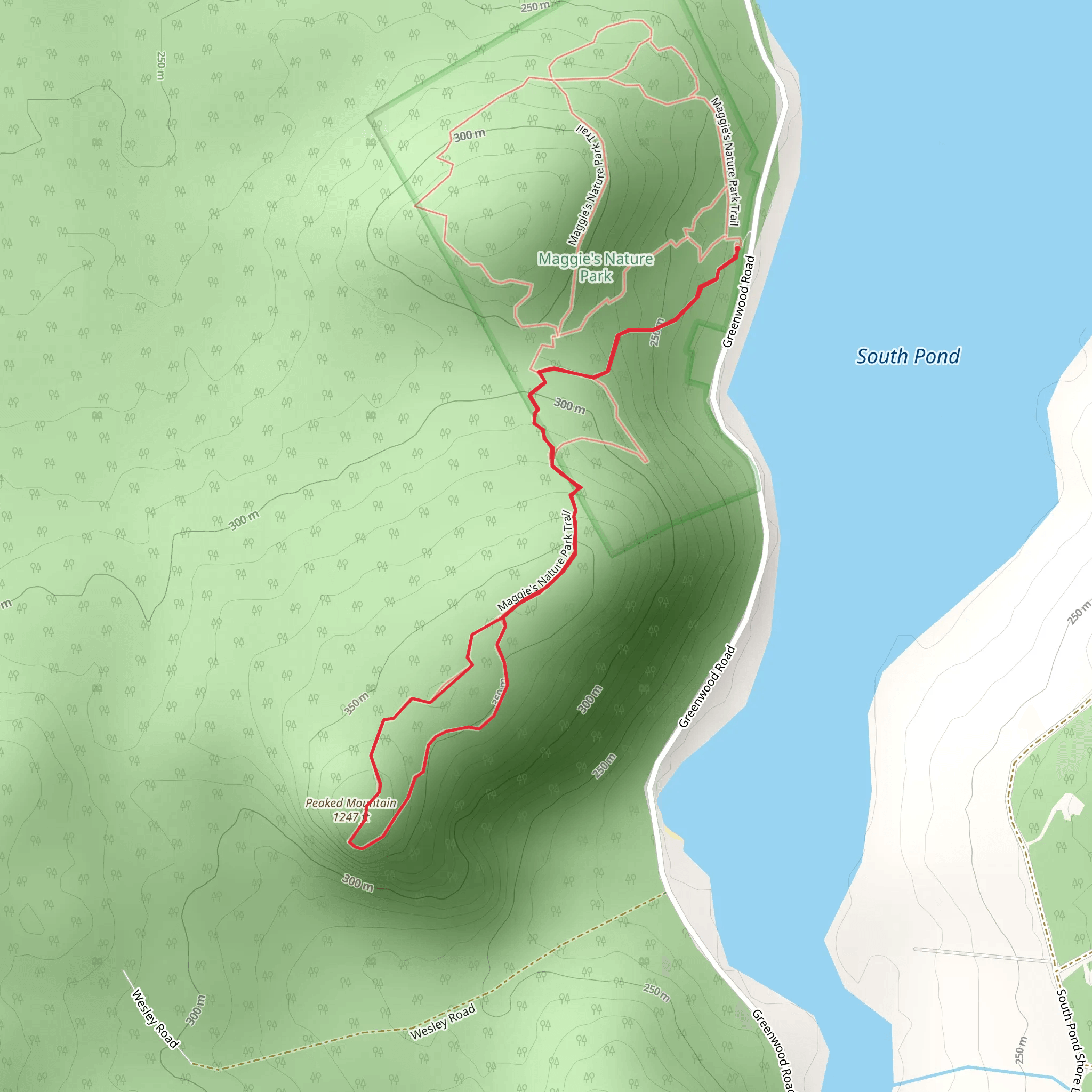 Peaked Mountain via Maggie's Nature Park Trail mobile static map