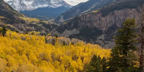 An image depicting the trail Weminuche Pass Continental Divide Loop and its surrounding area.
