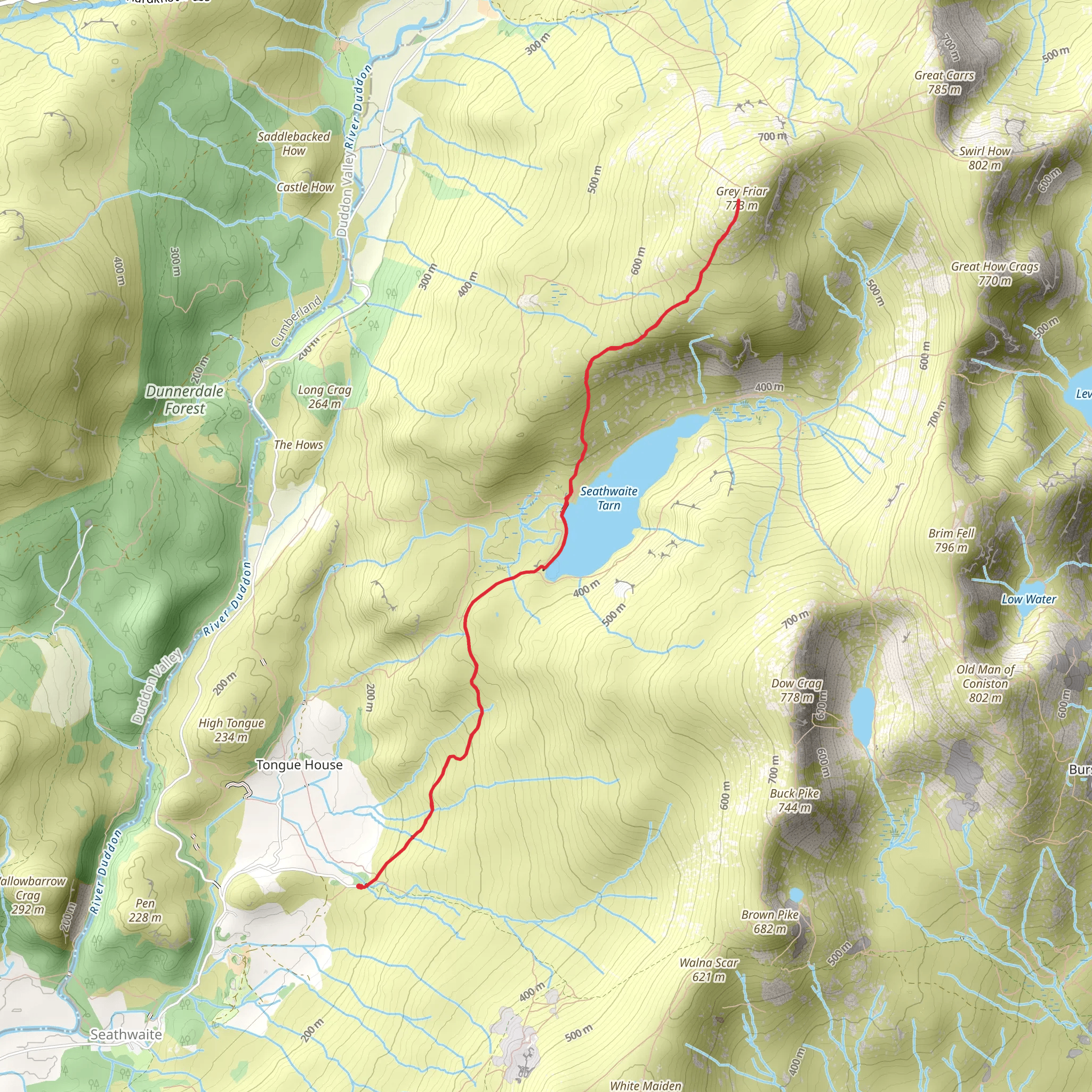 Grey Friar mobile static map