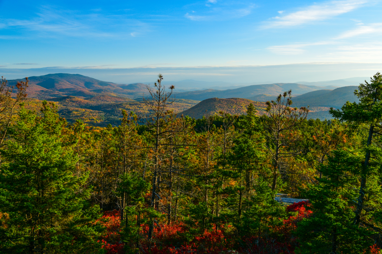 An image depicting the trail Blueberry Mountain South Trail and its surrounding area.
