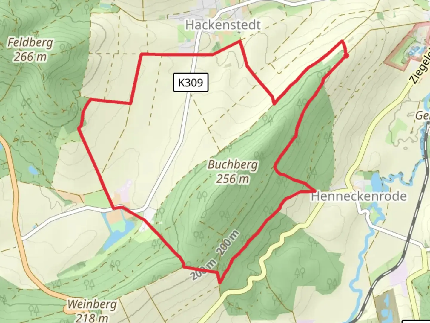 An image depicting the trail Buchberg and Barockschloss Loop and its surrounding area.