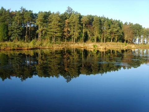 An image depicting the trail Irton Road to Ravenglass Walk and its surrounding area.