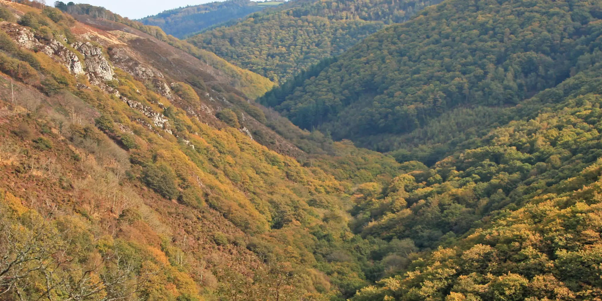 An image depicting the trail Teign Gorge Classic Circuit and its surrounding area.