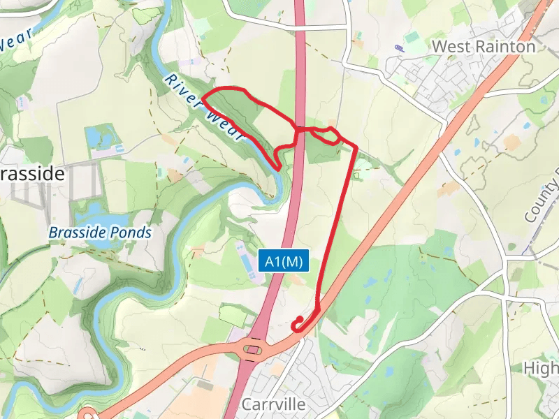 Raintonpark Wood Loop