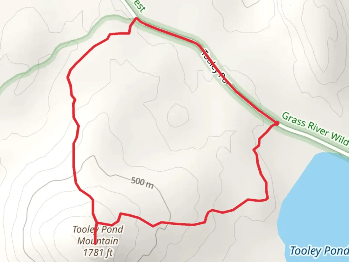 An image depicting the trail Tooley Pond Mountain Trail Loop and its surrounding area.