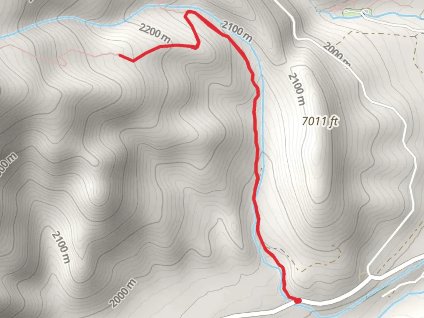An image depicting the trail Nichols Creek and its surrounding area.