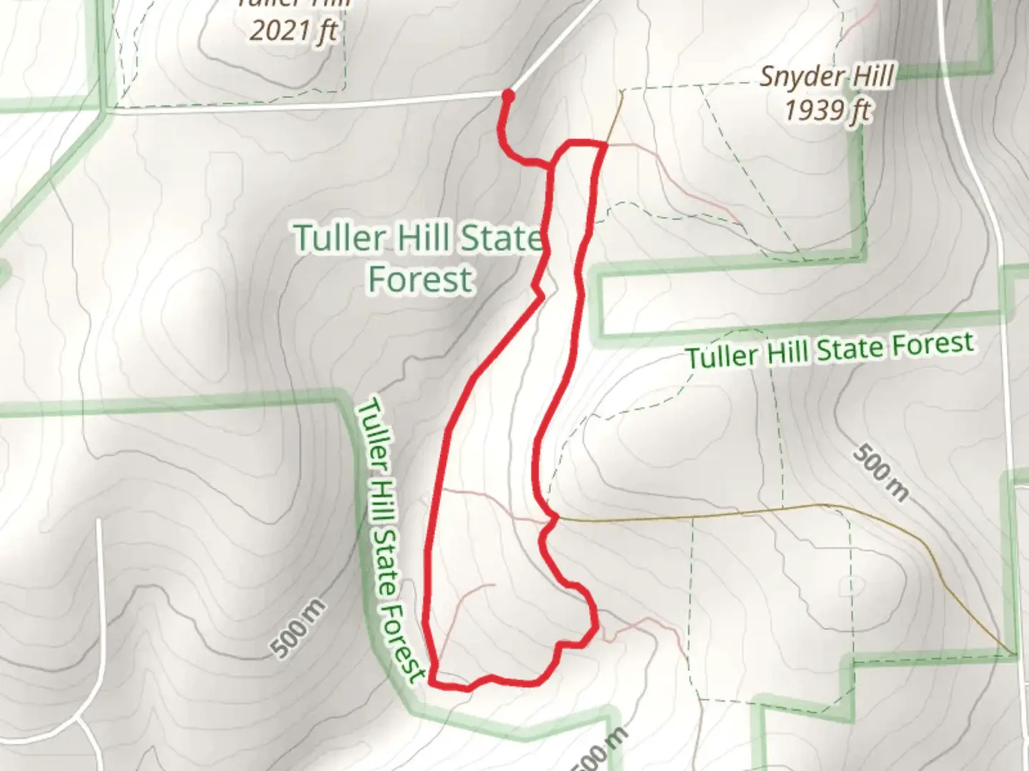 An image depicting the trail Tuller Hill Forest Loop and its surrounding area.