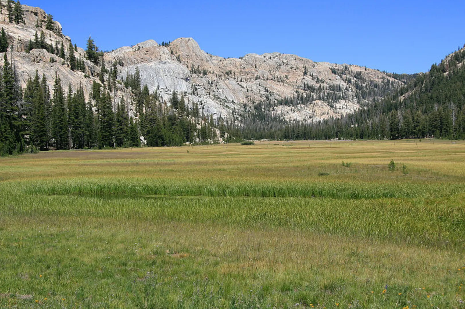 An image depicting the trail High Emigrant Lake and Maxwell Lake via Horse Meadow Trail and its surrounding area.