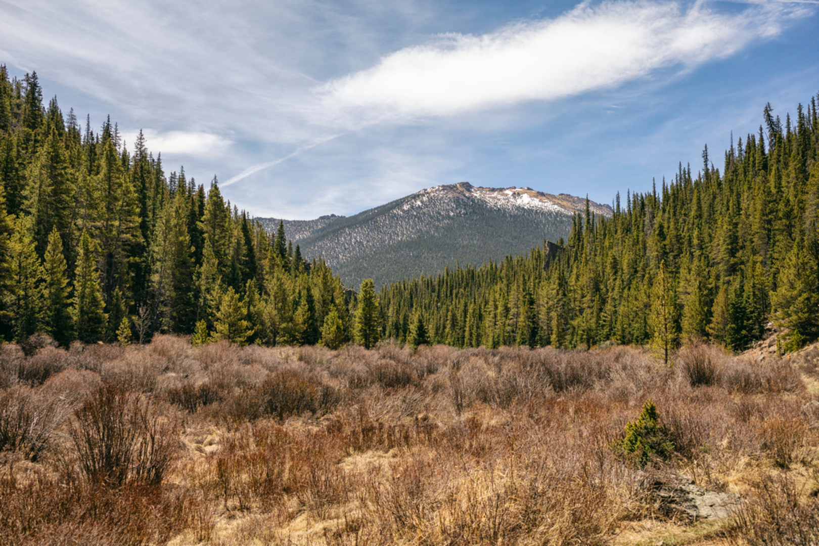 An image depicting the trail Wigwam Trail and its surrounding area.