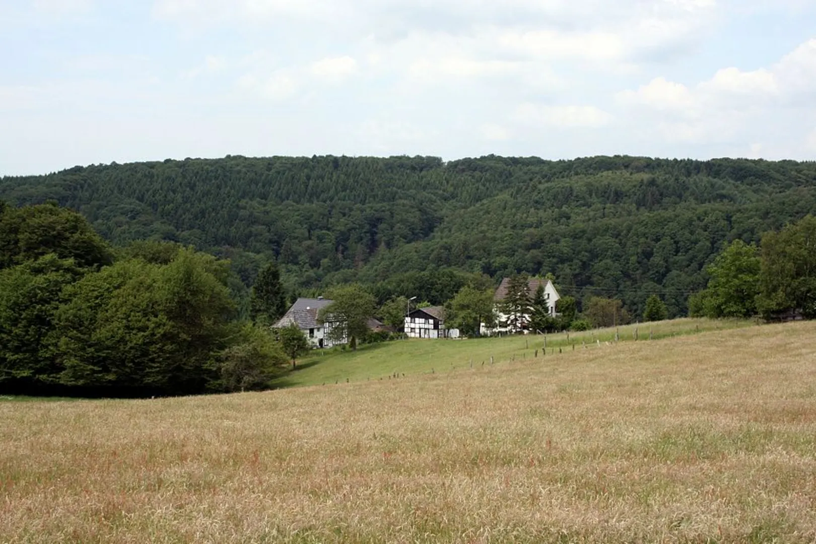 An image depicting the trail Rur, Eugenienstein and Hindenburgtor via Heinrich Boell Weg and its surrounding area.