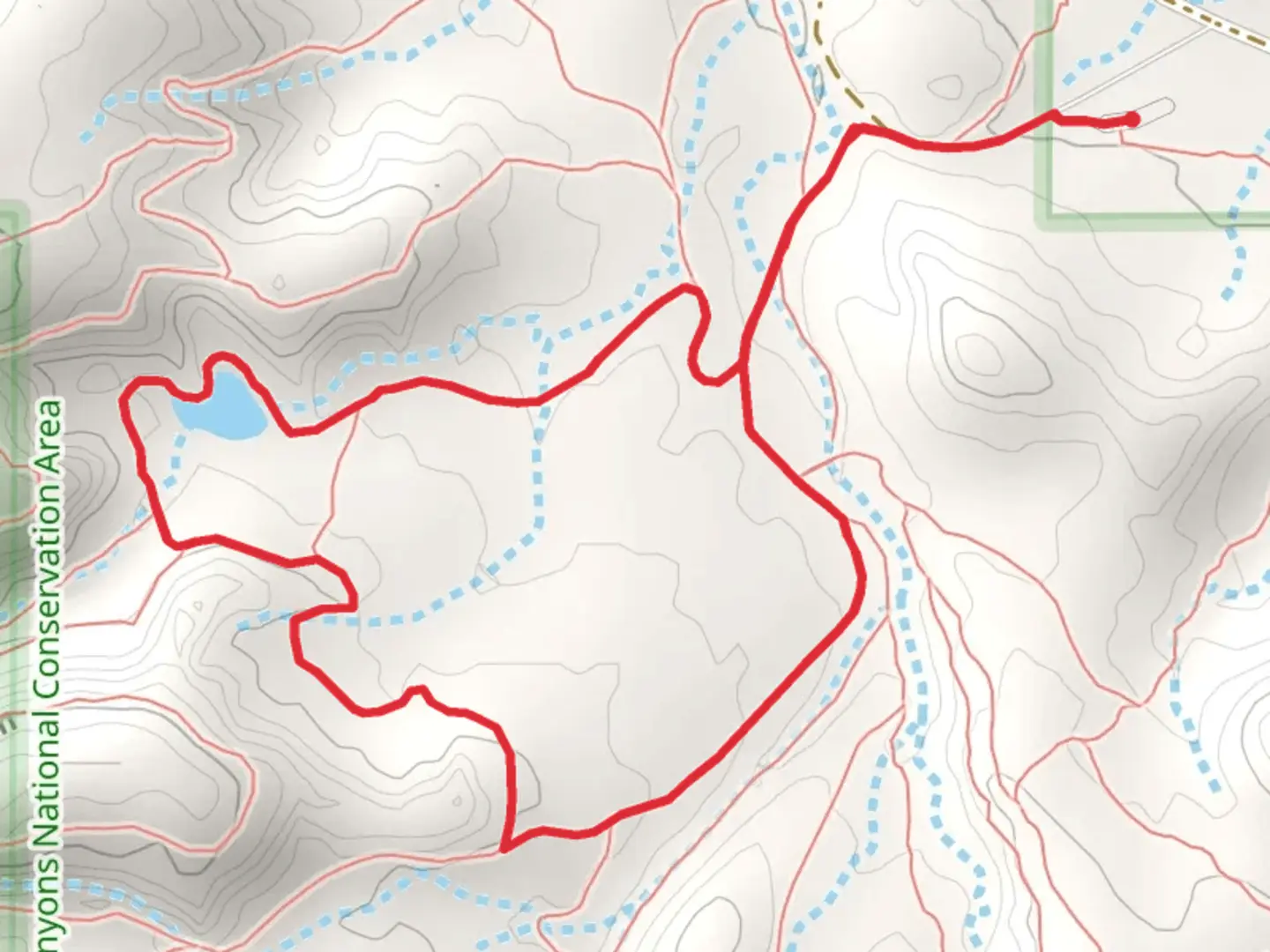 An image depicting the trail Devils 4 - D1 Loop Trail and its surrounding area.