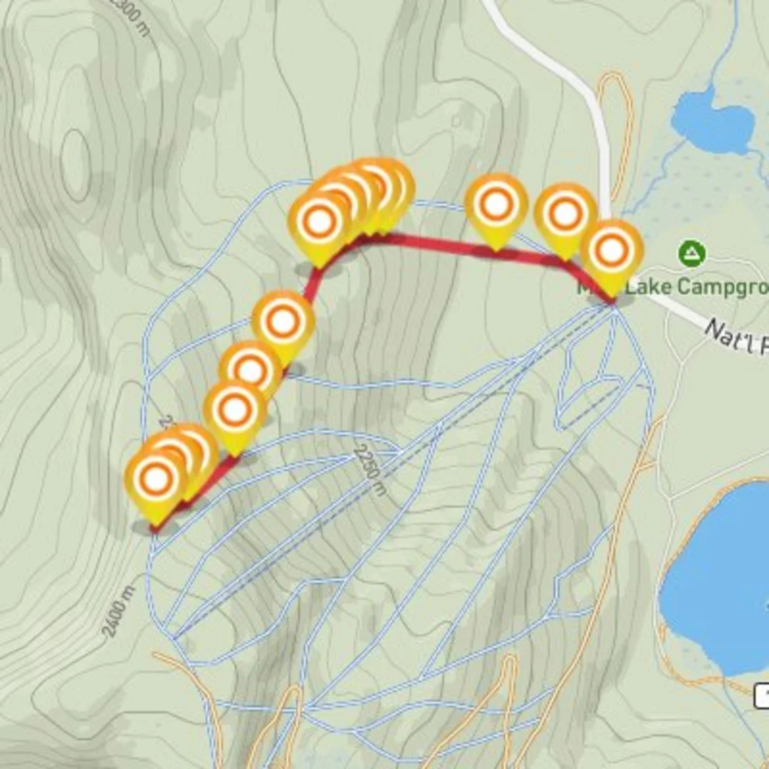 An image depicting the trail Ski- Holiday and its surrounding area.