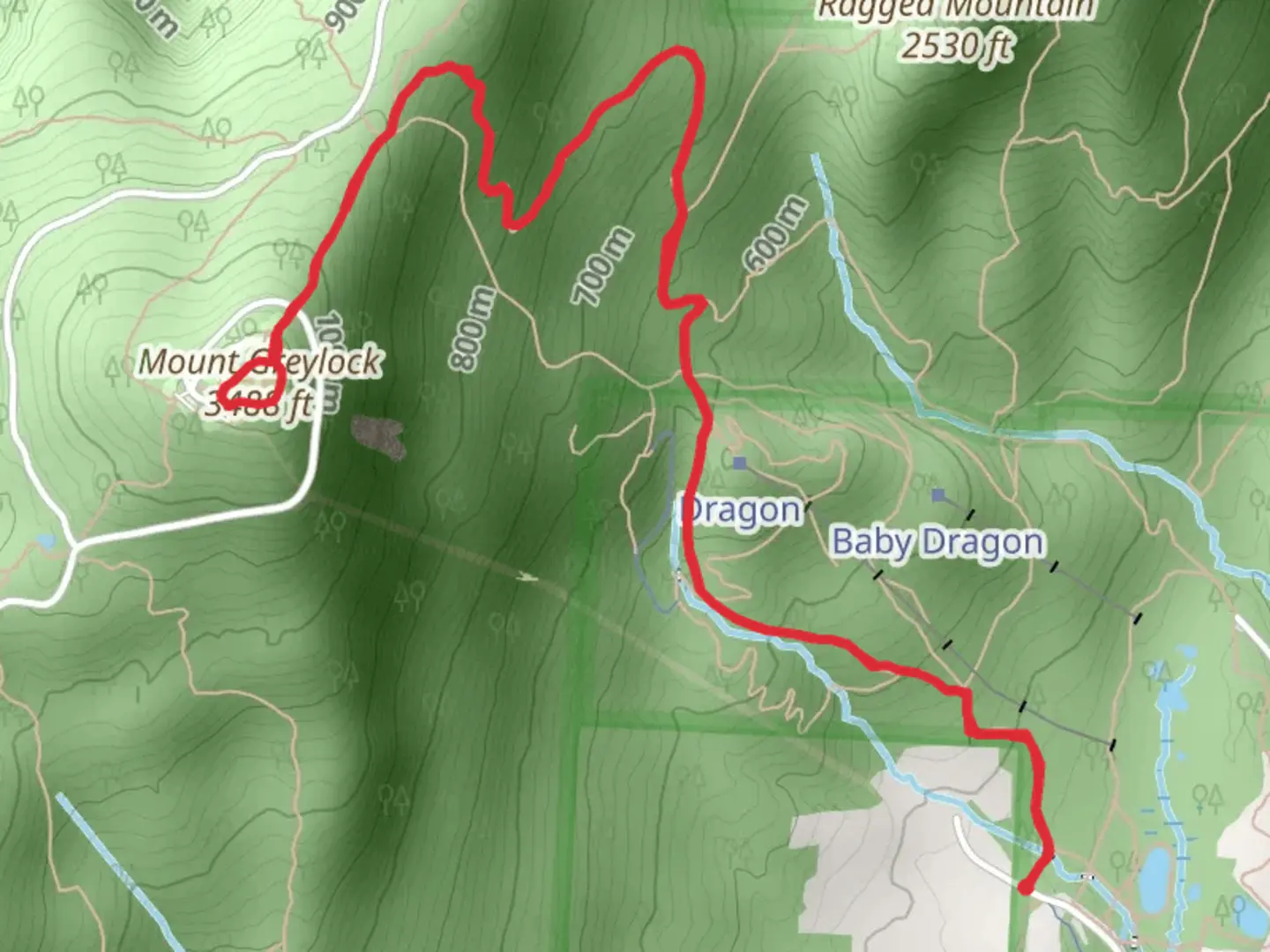An image depicting the trail Mount Greylock Loop via Bellows Pipe Trail and its surrounding area.