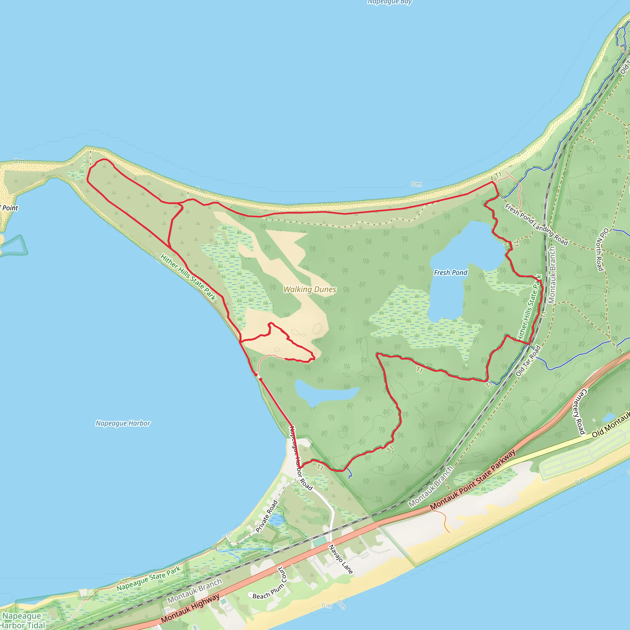 Beach walk and Walking Dunes Trail mobile static map