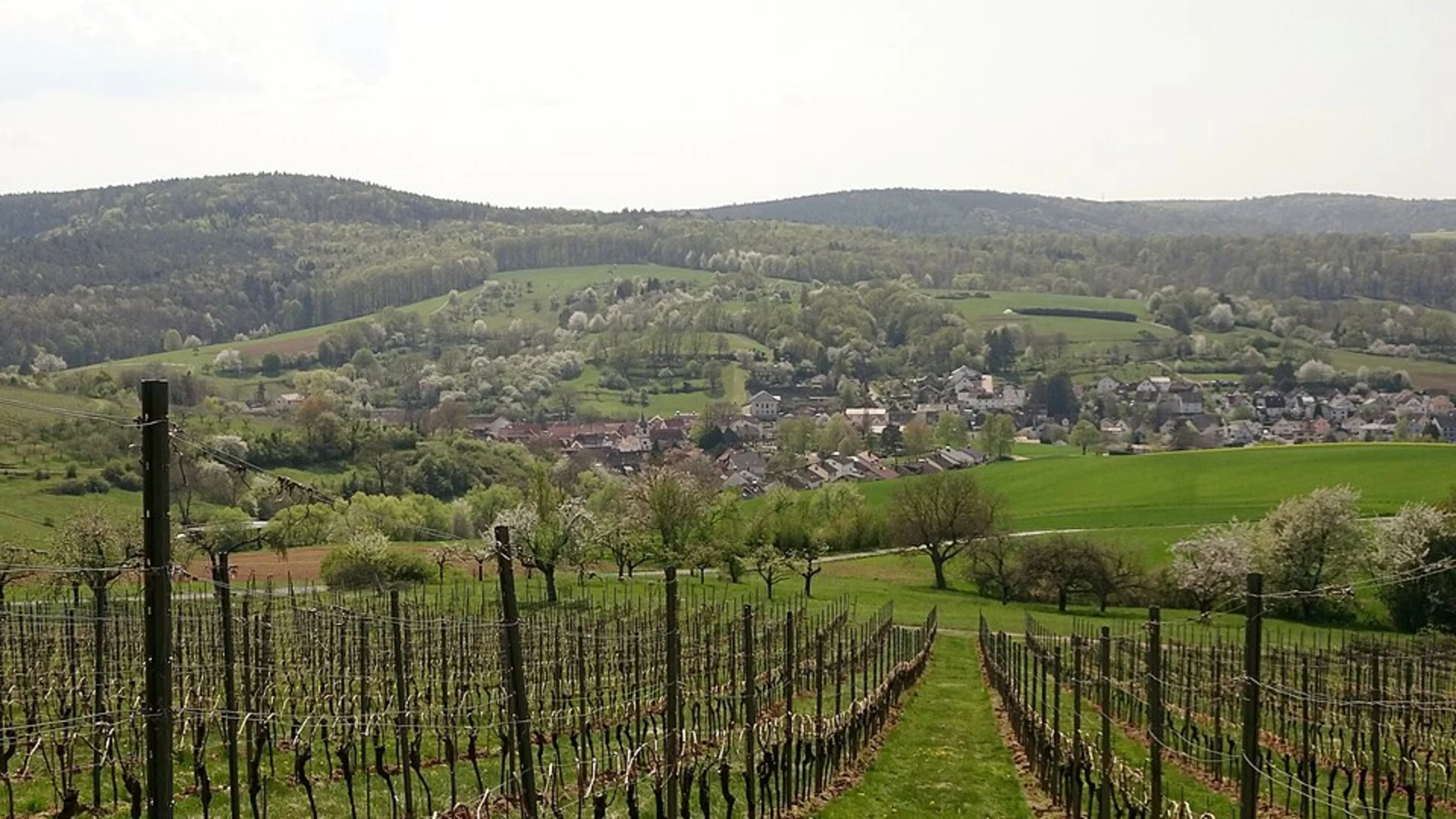 An image depicting the trail Chroobach Loop via Hegauer Kegelspiel Albertine Steig Loop and its surrounding area.
