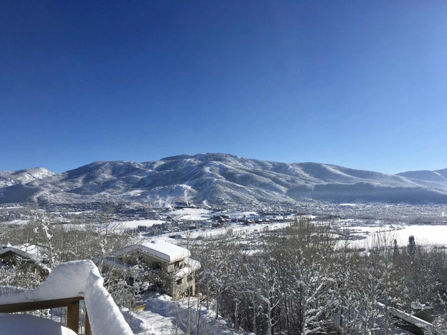 An image depicting the trail Vista Nature Trail and its surrounding area.