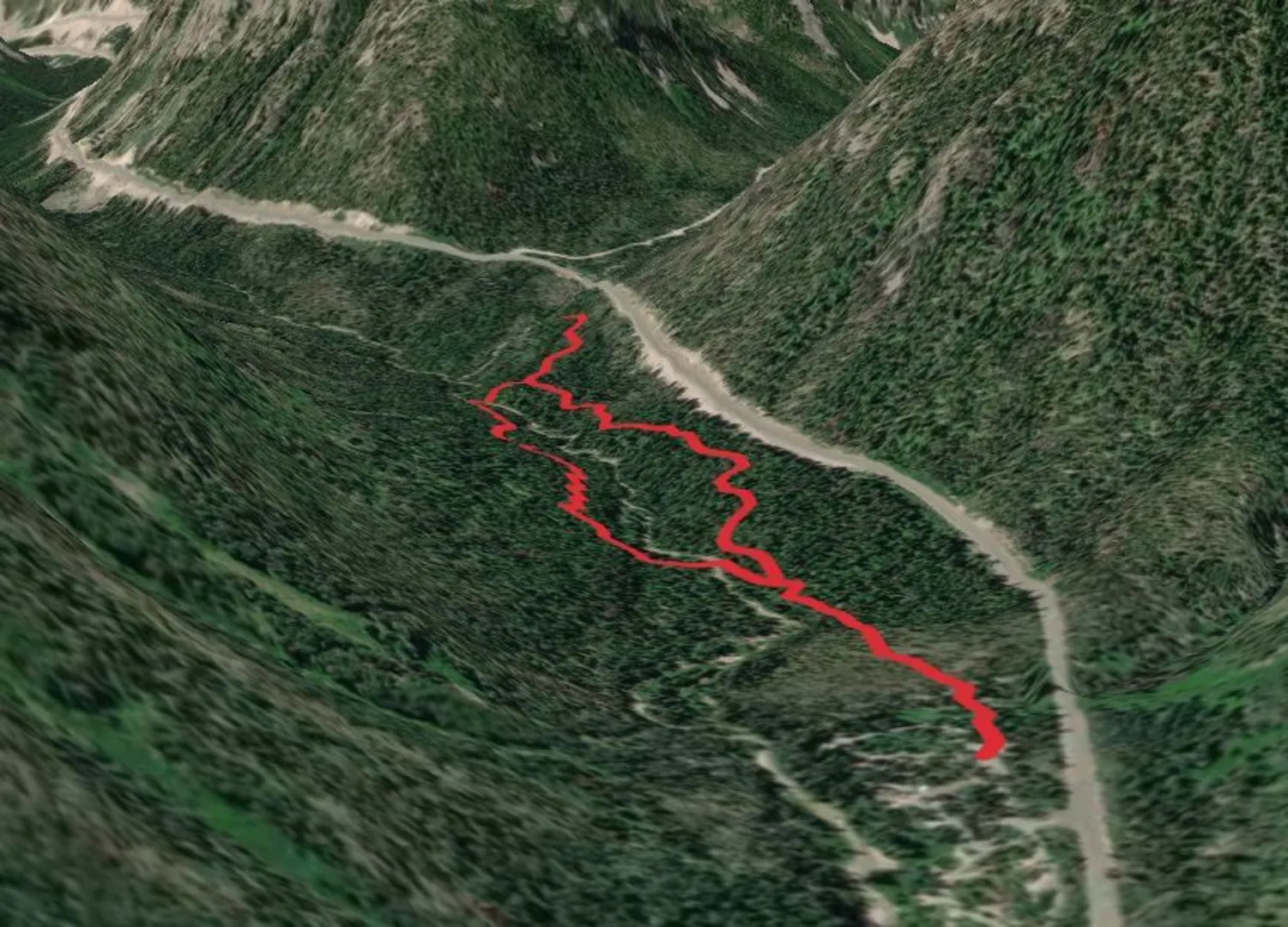 An image depicting the trail Lone Fir Interp Trail and its surrounding area.