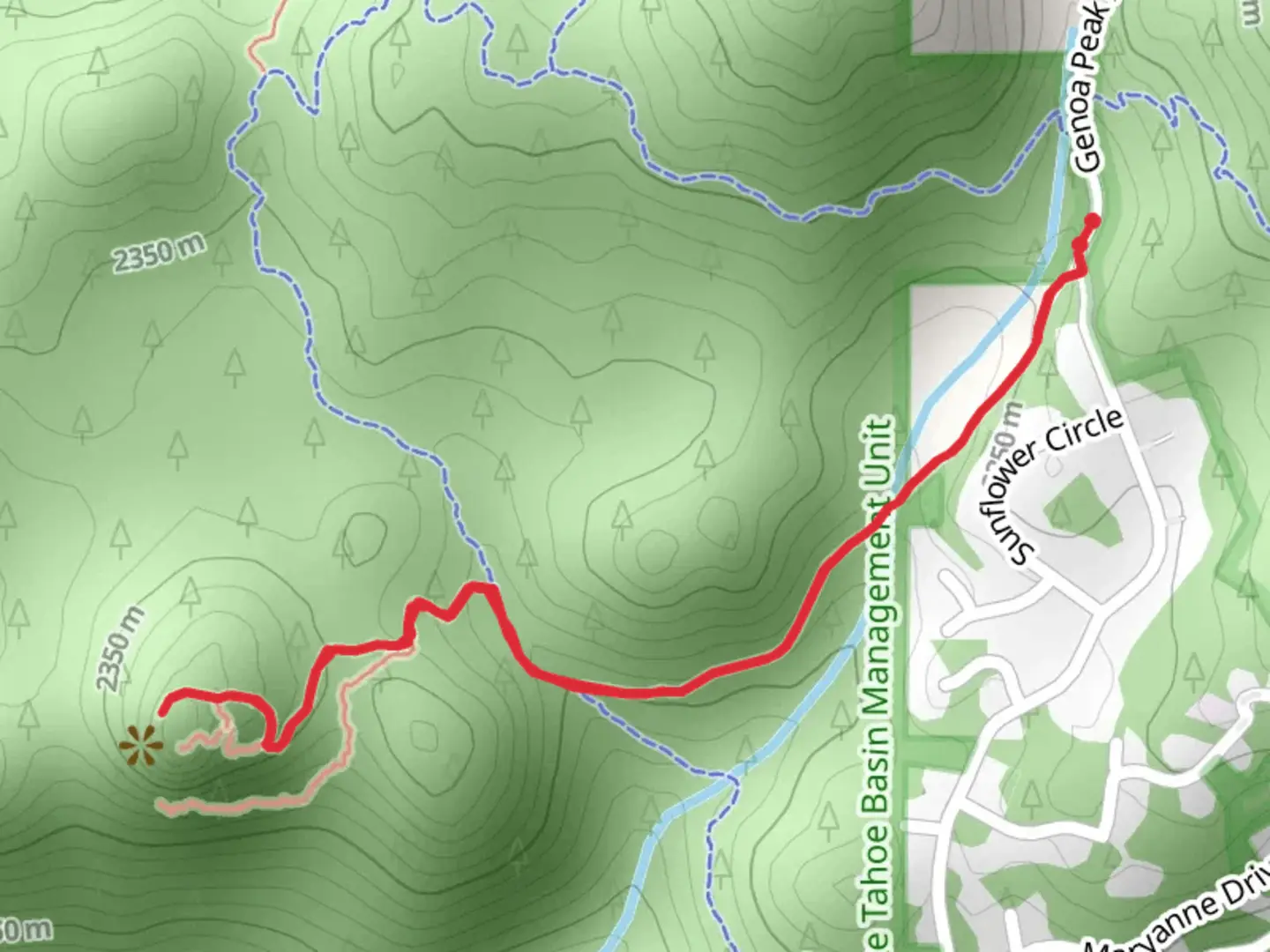 An image depicting the trail Castle Rock Trail Out and Back and its surrounding area.