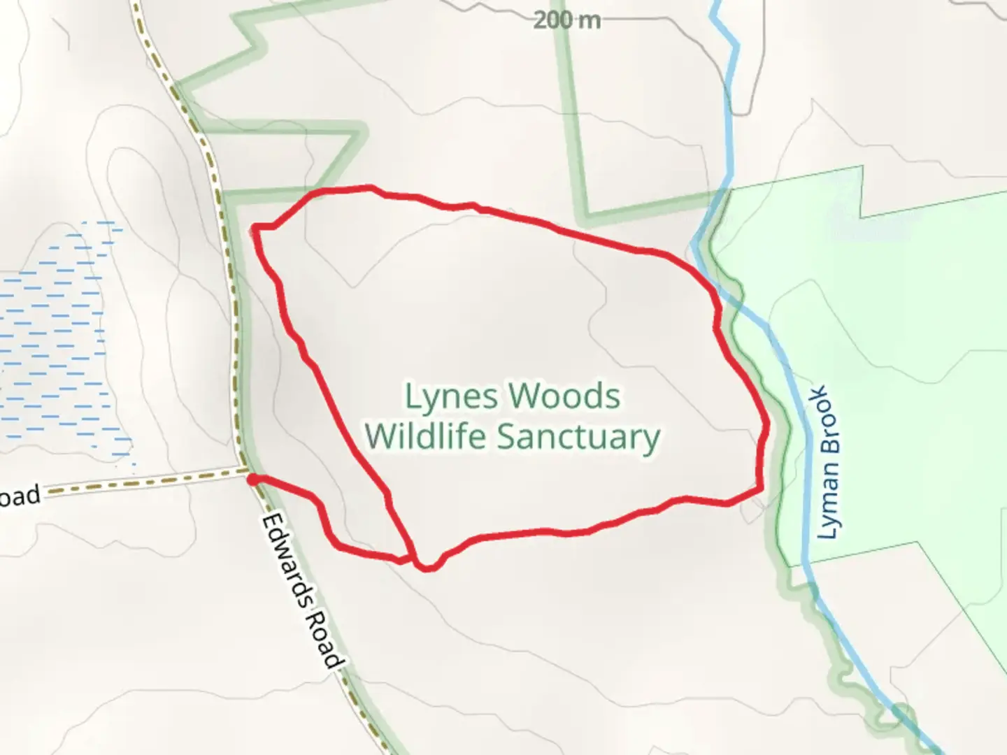 An image depicting the trail Lyman Brook Loop and its surrounding area.