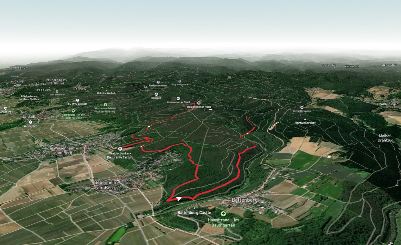 Wasserwerk, Am Hauschen and ungeheuersee Loop via Weisenheim am Berg RW 1