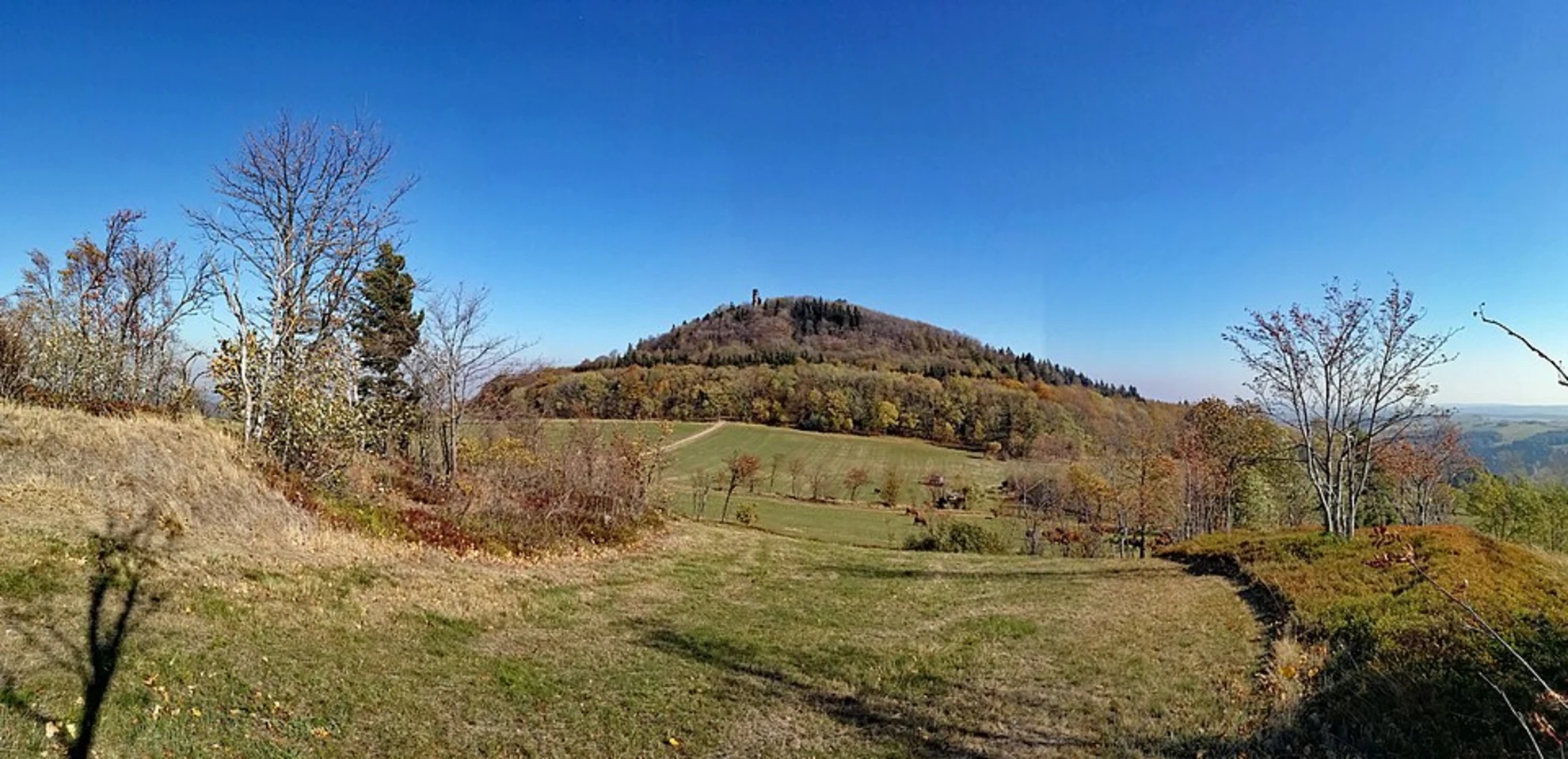 An image depicting the trail Altenberg Loop via Wölffleweg and its surrounding area.
