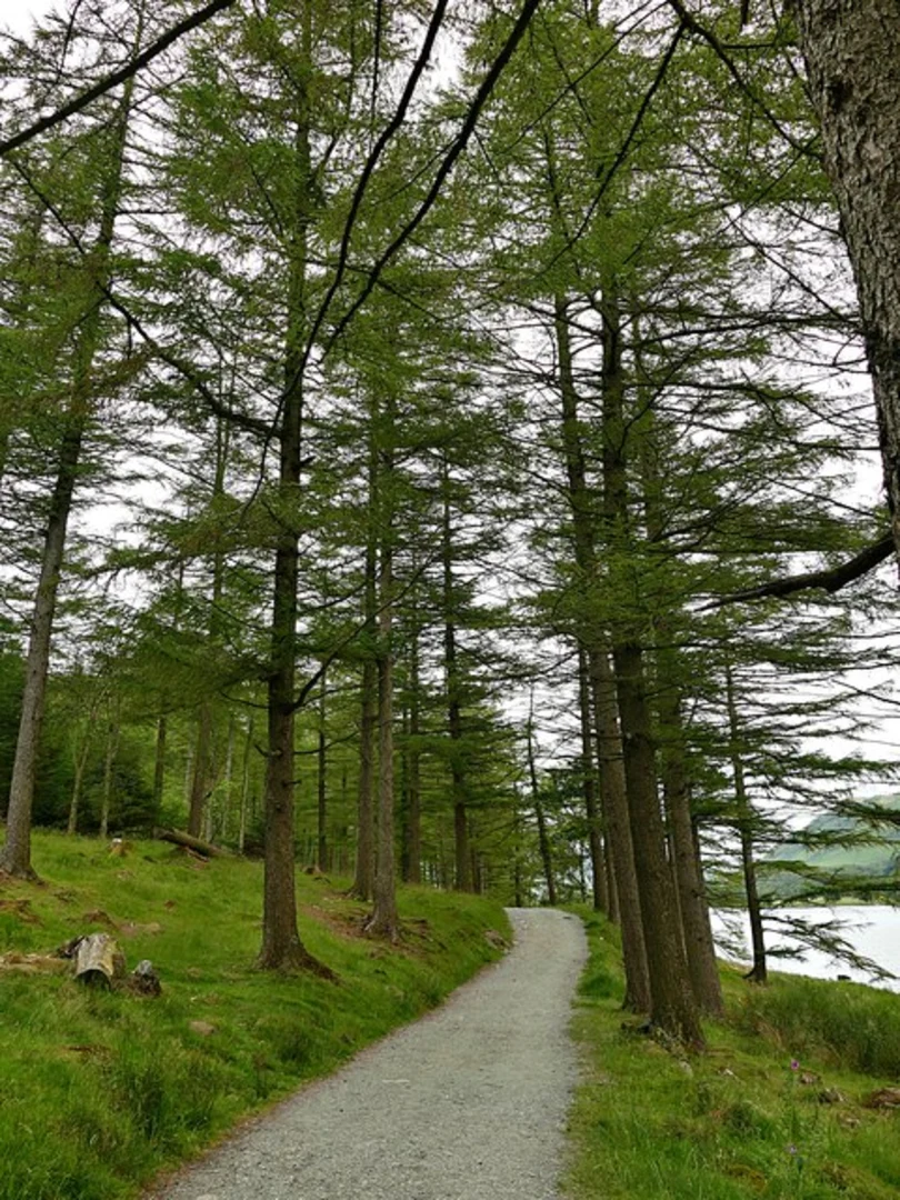 An image depicting the trail Buttermere, Scarth Gap and Hay Stacks Loop and its surrounding area.