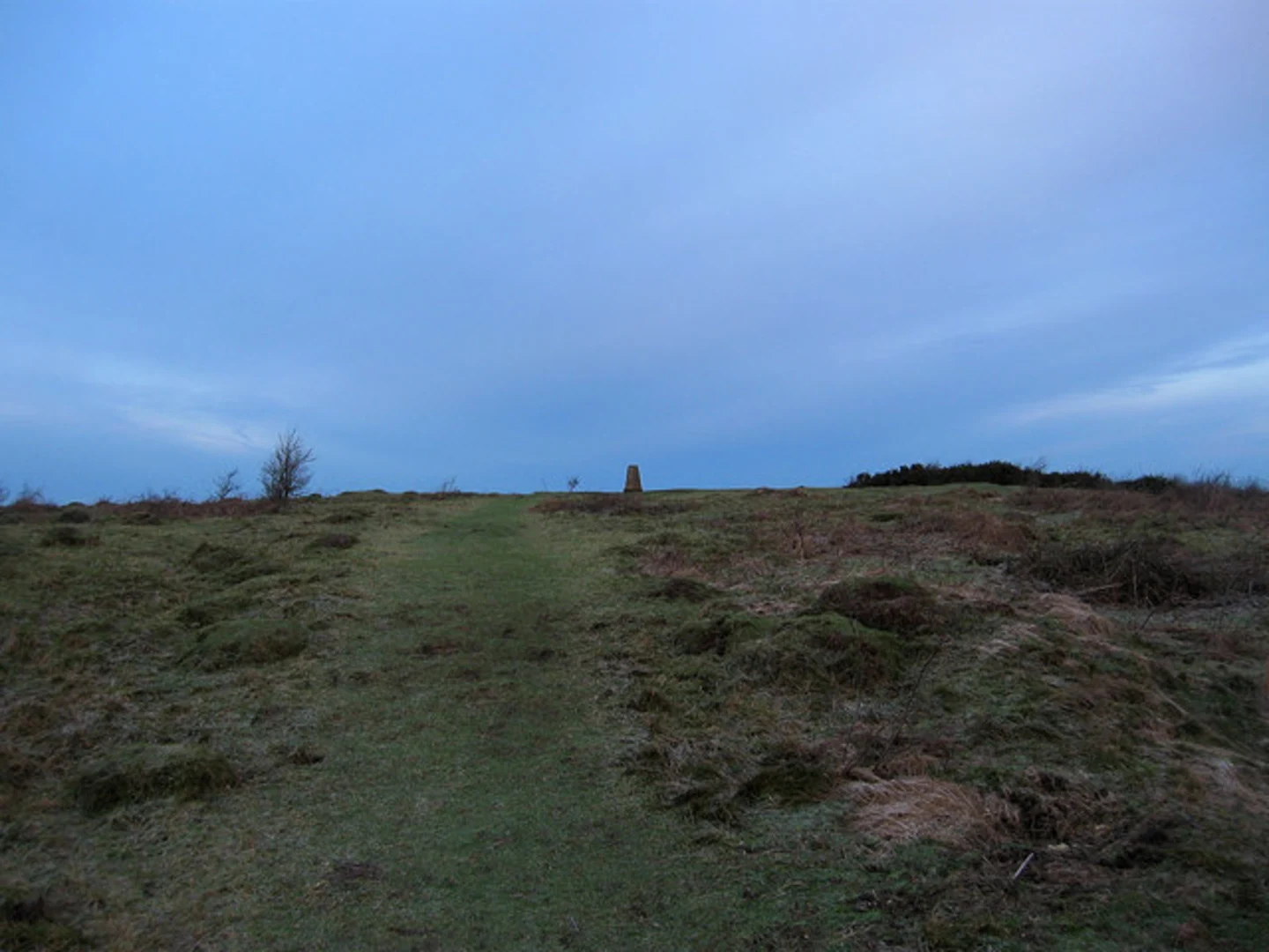 An image depicting the trail Ashen Plantation and Wolstonbury Hill Loop and its surrounding area.