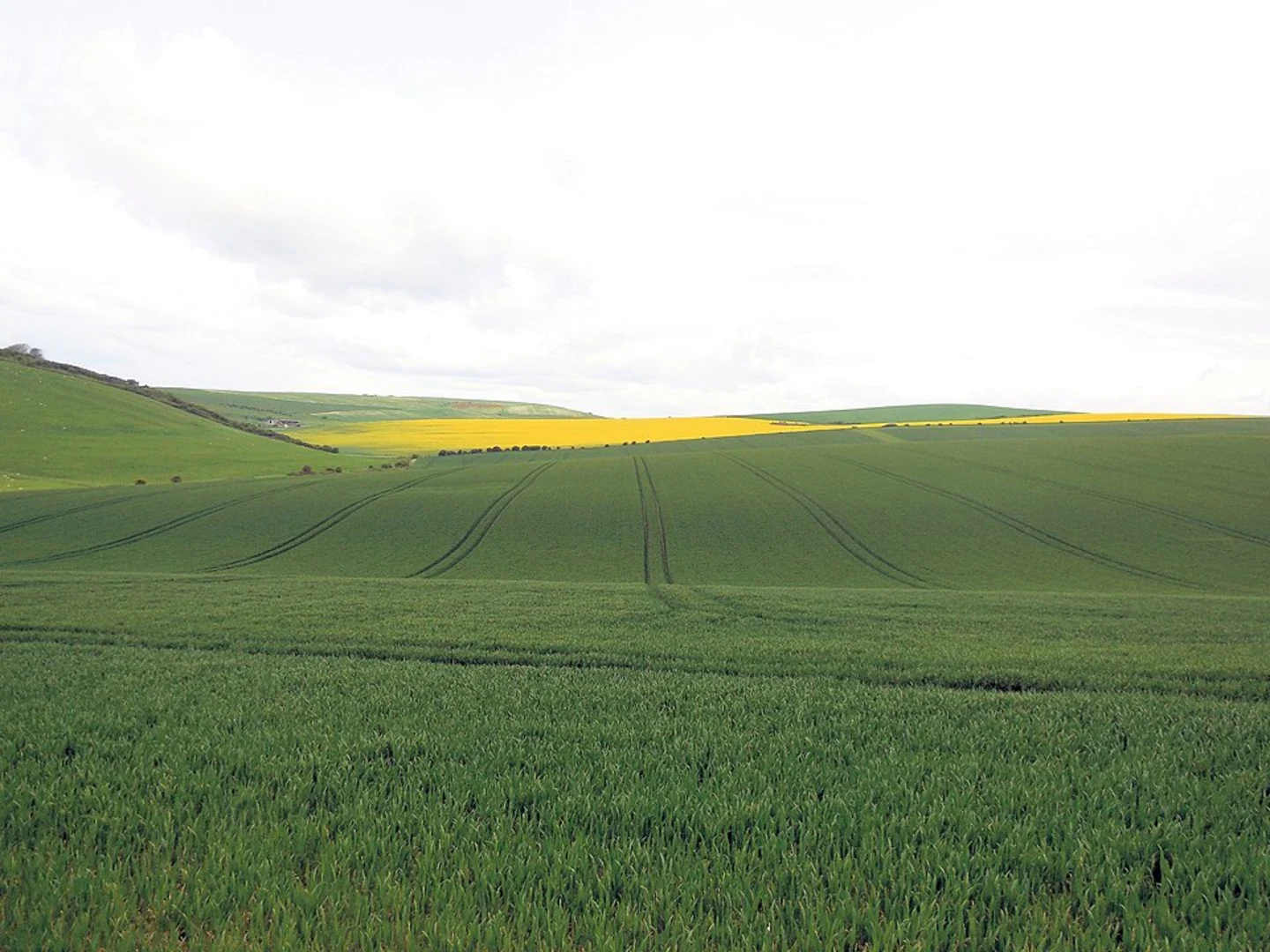 An image depicting the trail Meridian Line Walk - Rodmell and its surrounding area.