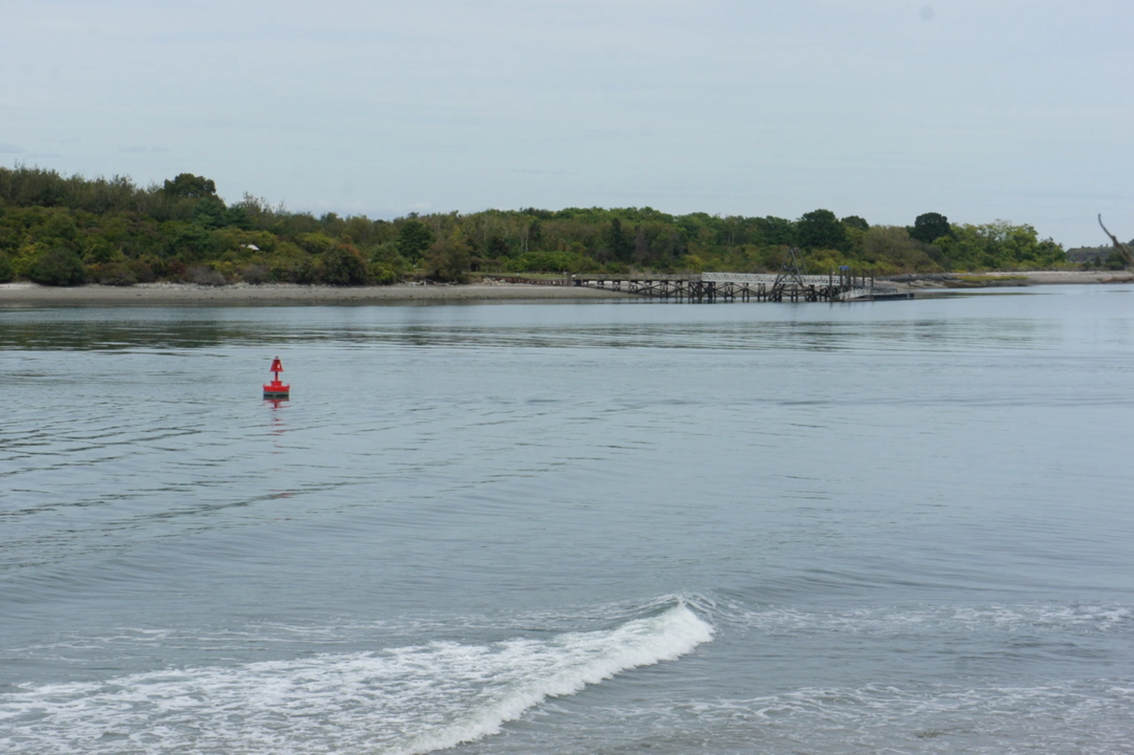 An image depicting the trail Grape Island Loop and its surrounding area.