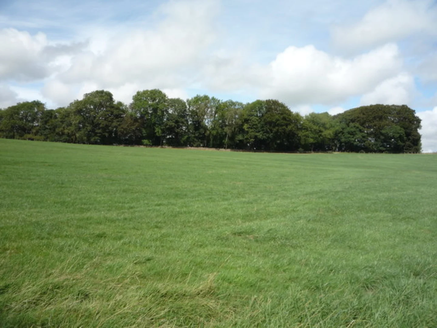 An image depicting the trail Gisburn to Settle Walk and its surrounding area.
