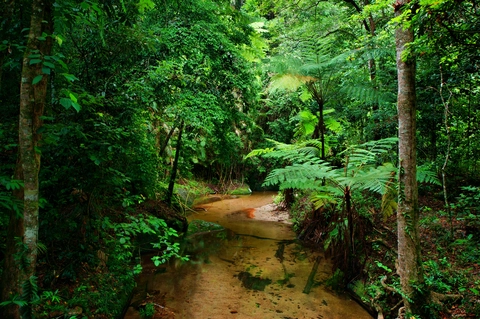 Mount Kahlpahlim Rock Trail