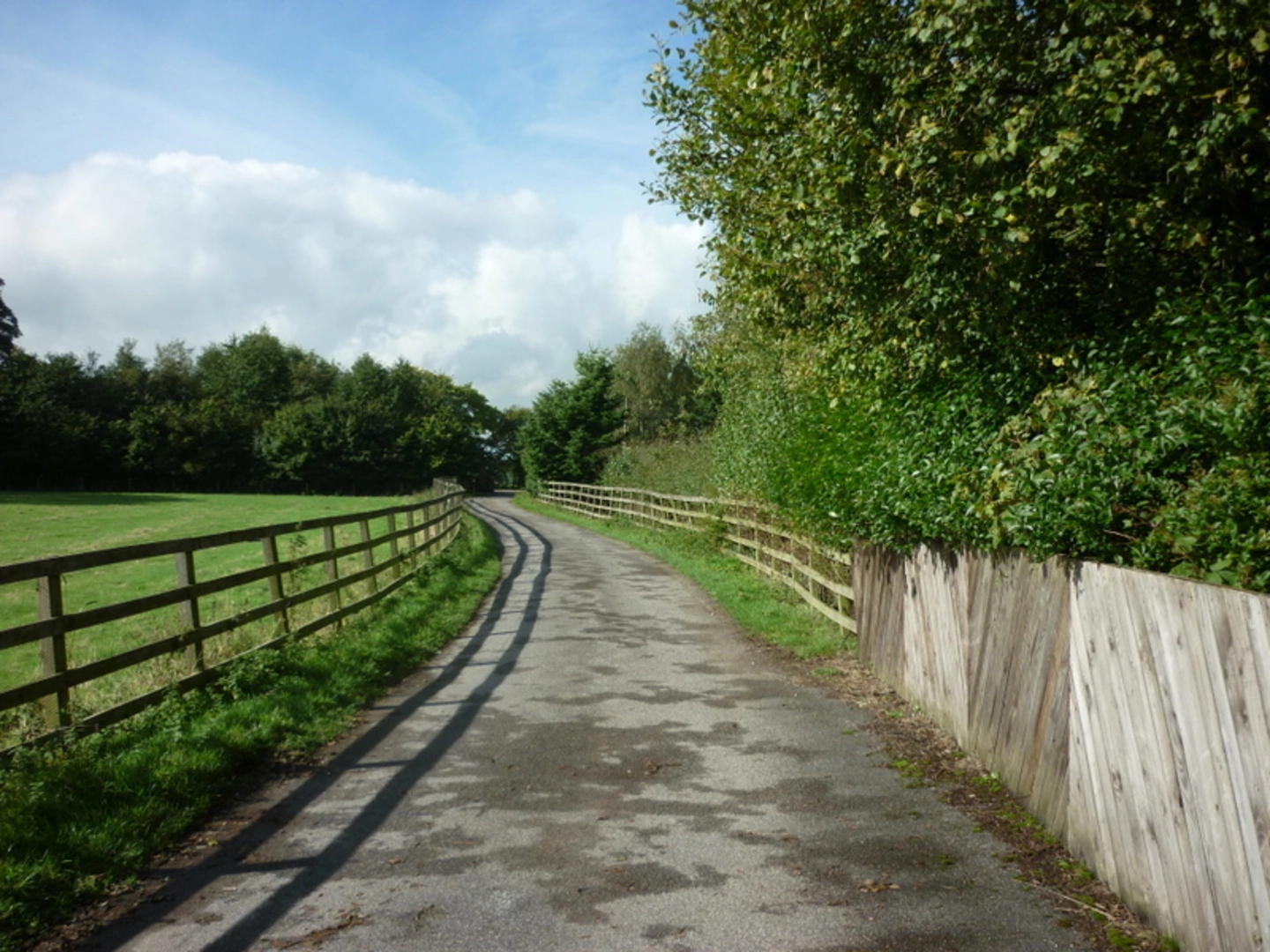 An image depicting the trail West Breary Loop and its surrounding area.