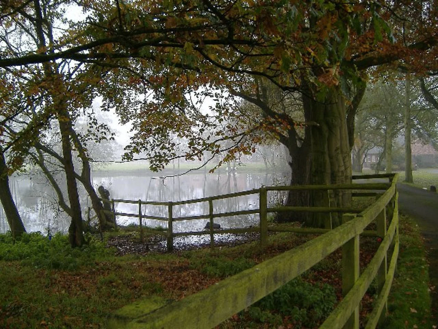 An image depicting the trail Haslington Countary Park Loop and its surrounding area.