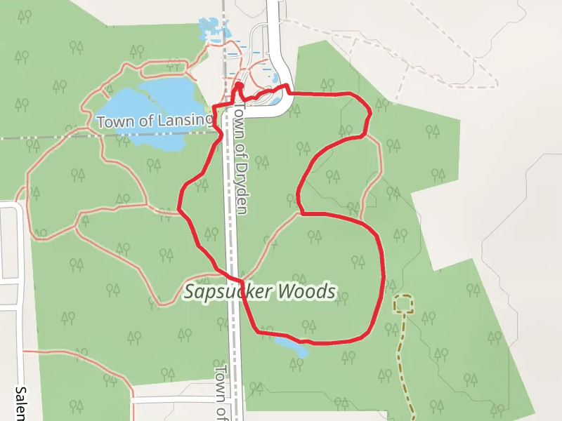 Winston Trail and Hoyt-Pileated Trail