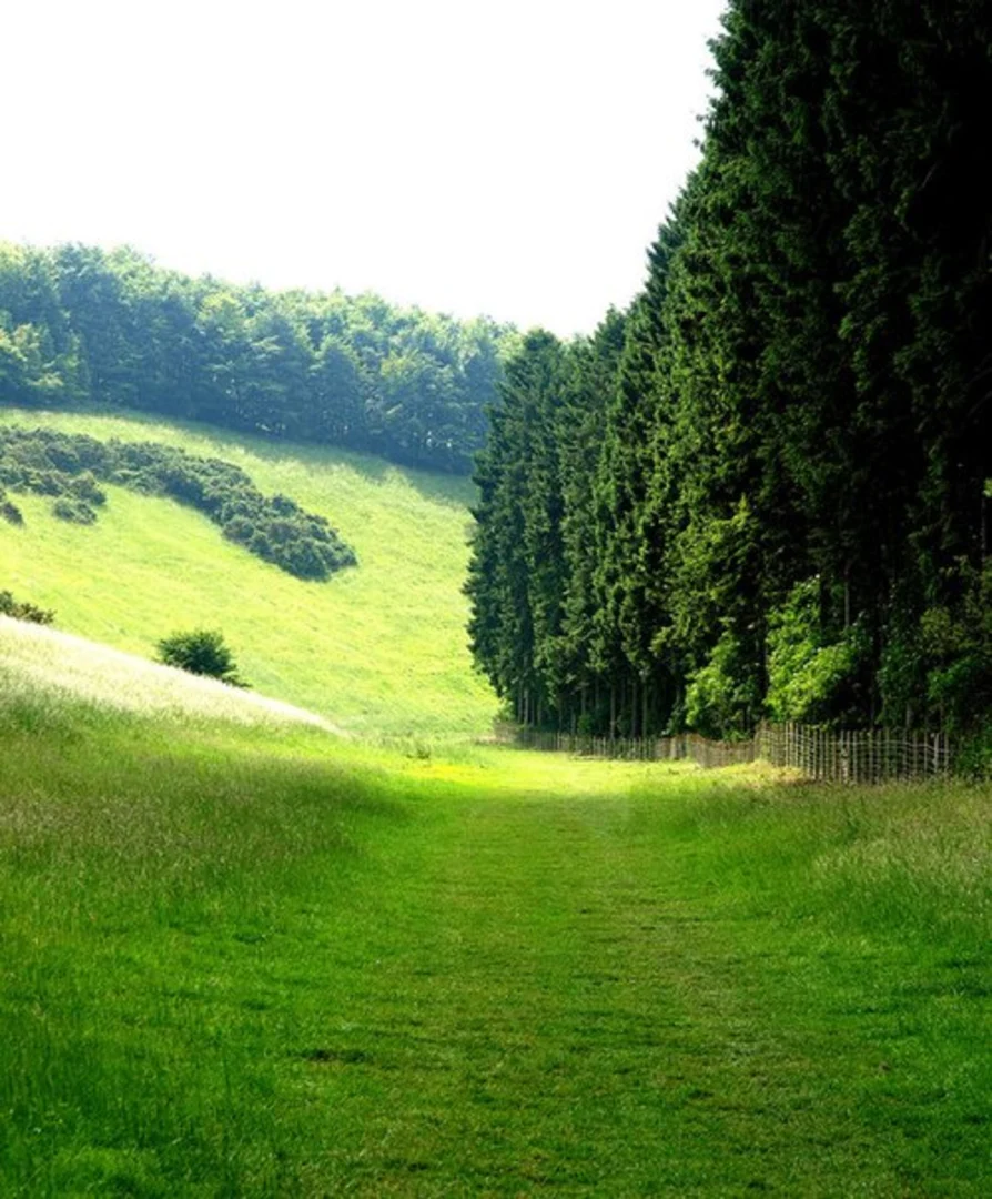 An image depicting the trail Welton Short Walk and its surrounding area.