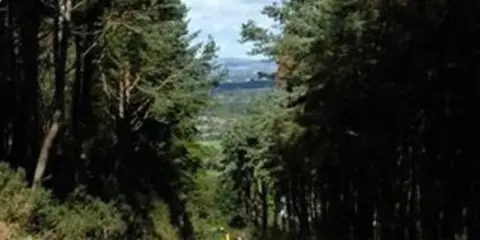 An image depicting the trail Tara Hill - Slí na n-Óg and its surrounding area.