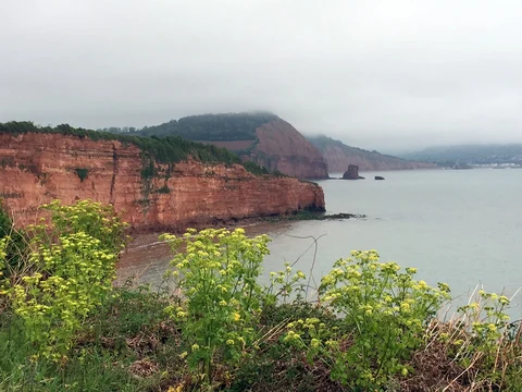 An image depicting the trail Otterton Loop and its surrounding area.