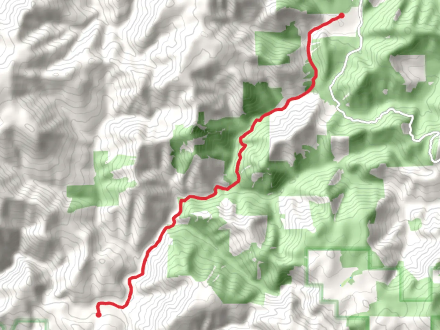 An image depicting the trail Briggs Creek Trail and its surrounding area.