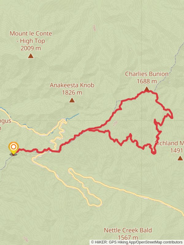 Mount Ambler, Charlies Bunion and Grassy Branch Loop Trail via Indian